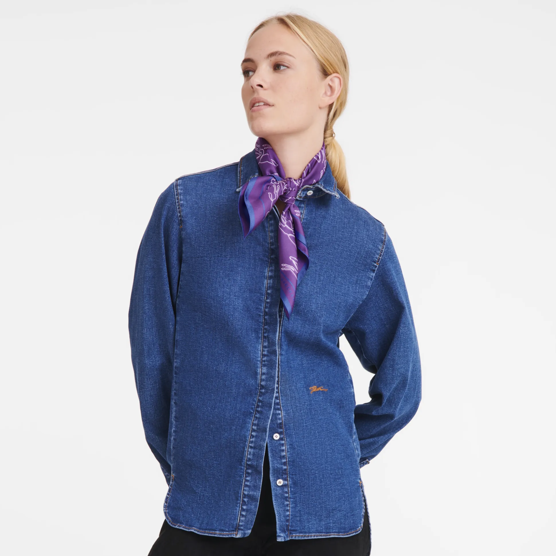 Chevaux Recto Verso Silk Scarf 70