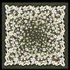 Hawaiian Flowers Silk Scarf 50