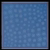 La Medaille Longchamp Shawl