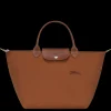 Le Pliage Green M Handbag
