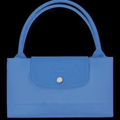 Le Pliage Green M Handbag