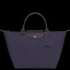 Le Pliage Green M Handbag