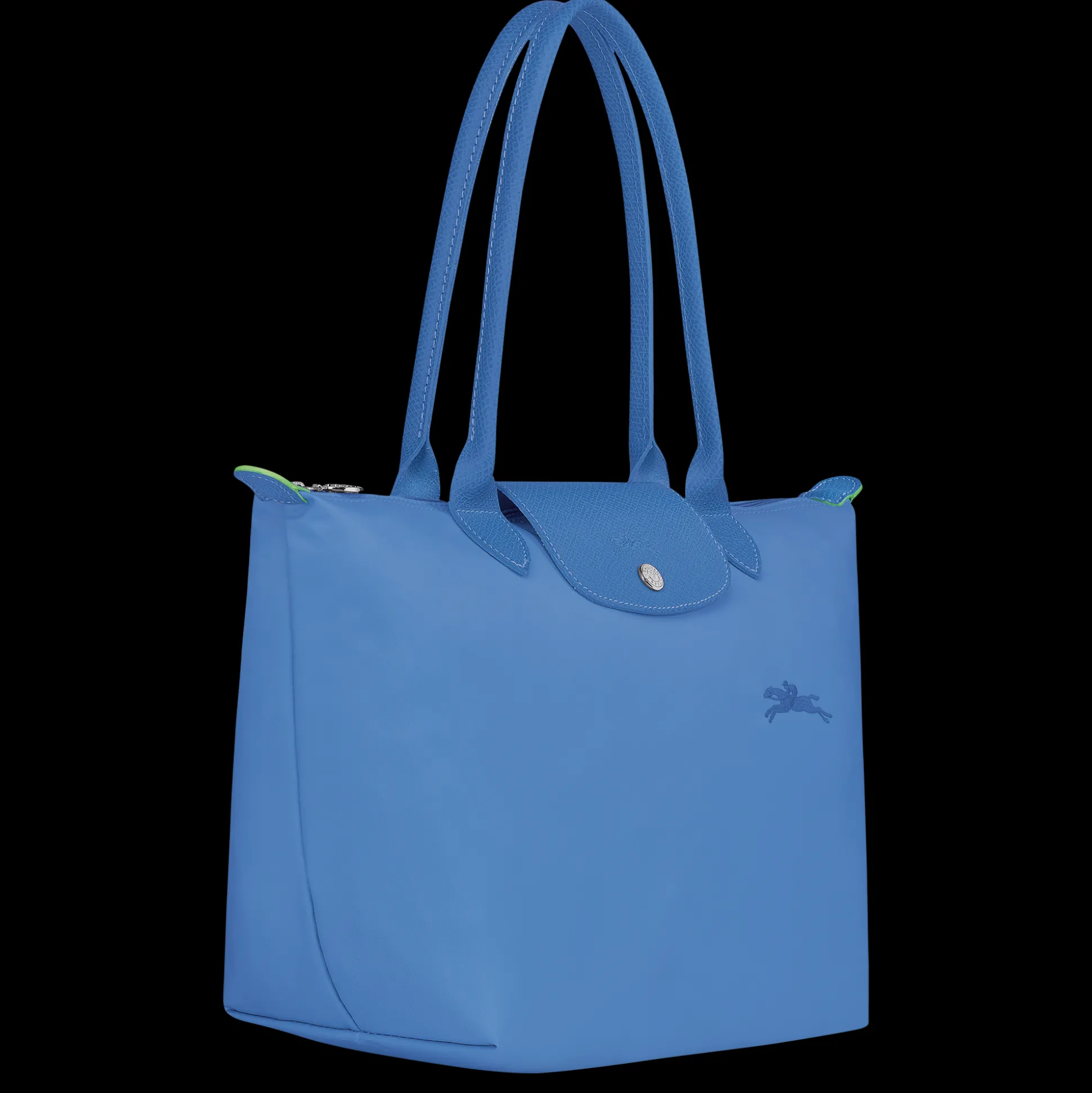 Le Pliage Green M Tote Bag