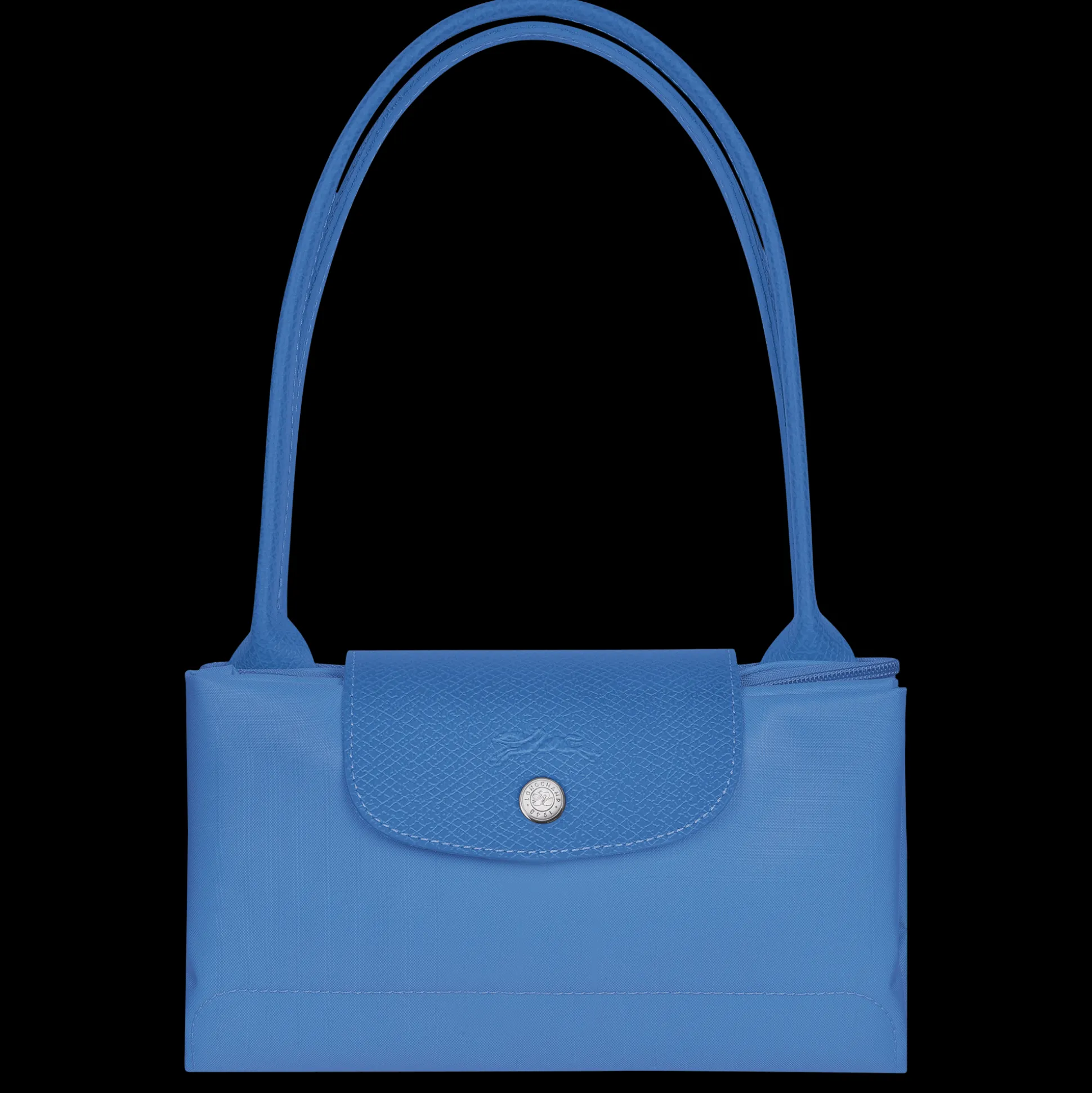 Le Pliage Green M Tote Bag