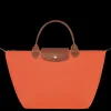 Le Pliage Original M Handbag