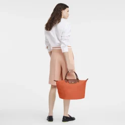 Le Pliage Original M Handbag