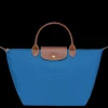 Le Pliage Original M Handbag