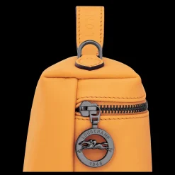 Le Pliage Xtra Xs Vanity