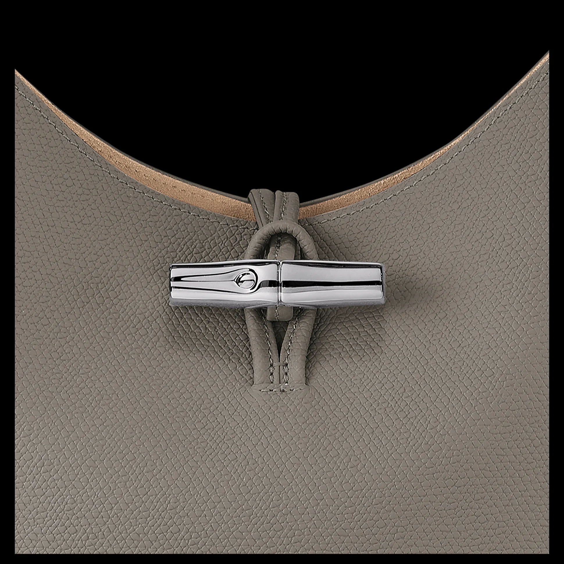 Roseau M Hobo Bag