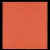 Roseau Shawl